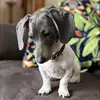 Sharon Stanhope Metcalf - @sharon.stanhope.m - TikTok