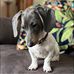 Sharon Stanhope Metcalf - Facebook