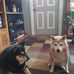Sharon Starbuck - Facebook