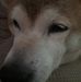 Sharon Starbuck - Facebook