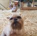 Sharon Starcher Shaw - Facebook
