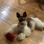 Sharon Kay Starkey - @skstarkey - Instagram