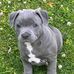 Sharon Starkey - Facebook