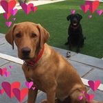 Sharon Starkey - @sharon_starkey - Instagram