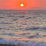 Sharon Starkey - @starkeysharon - Instagram