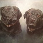 Sharon Starkey - @shel0147 - Instagram