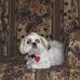 Sharon Staten - Facebook
