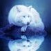 Sharon Staten - Facebook