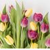 Sharon Downing Staub - Facebook