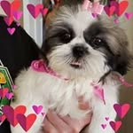 sharon staubs - @sharonstaubs - Instagram