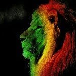 Sharon Daley Stauffer - @lions_mama - Instagram
