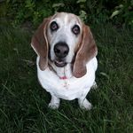 Sharon Steffens - @lucy_jo_adventures - Instagram