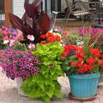 Sharon Steiger - Facebook