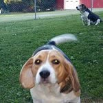 Sharon Stem - @sharonstem - Instagram