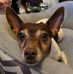 Sharon Stemp - Facebook