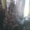Sharon Stenstra - @sharon.stenstra - TikTok