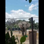 Sharon Stenta - @sharonstenta1 - Instagram