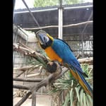Sharon Stenta - @sharon_stenta - Instagram