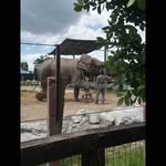 Sharon Stenta - @sharonstenta3 - Instagram
