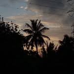 Sharon stephan - @shr0nz - Instagram