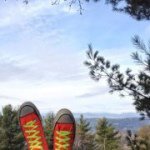 Sharon Stepp - @draketree - Instagram