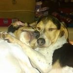 Sharon Stepp - @freddy7841 - Instagram