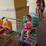 Sharon Stepp - @sharonstepp - Instagram