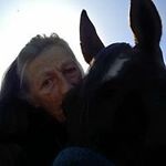 Sharon Stepp Turner - @steppturner - Instagram