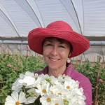 Sharon Steyn - @edpsychsteyn - Instagram