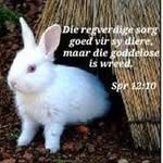 Sharon Steyn - @steyn9623 - Instagram