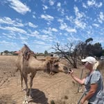 Sharon Steyn - @sharon.steyn1 - Instagram