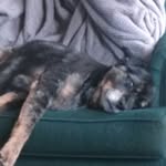 Sharon Stiffey - @sharonstiffey - Instagram