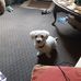 Sharon Stilson - Facebook