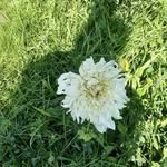 Sharon Stock - @sharonstock1 - Instagram