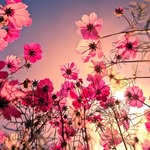 Sharon Stock - @stock5308 - Instagram
