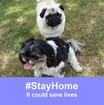 Sharon Stock - Facebook