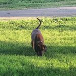 Sharon Stock Hall - @stockhallsharon - Instagram