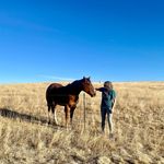 Sharon Stocker - @sharonstocker - Instagram
