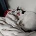 Sharon Stokes - Facebook