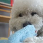 Sharon Storms - @storms_sharon5 - Instagram