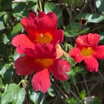 Sharon Jackson - @sharon_stoughton_jackson - Instagram