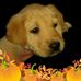 Sharon Stough - Facebook