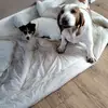 sharonstrachan5 - @sharonstrachan5 - TikTok