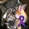 Sharon Strait - @sharon.strait - TikTok