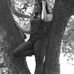 Sharon Strasser - Facebook