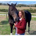 Sharon Streeter - @adagioperformancehorses - Instagram