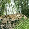 Shannon Stringfellow - @shannon.stringfel - TikTok