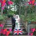 Sharon Stringfellow - Facebook