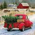 Sharon Stringfellow - Facebook