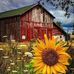 Sharon Strother - Facebook
